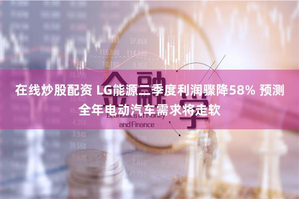 在线炒股配资 LG能源二季度利润骤降58% 预测全年电动汽车需求将走软